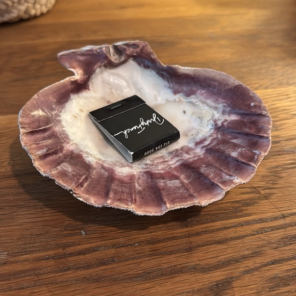 Sea Shell - Picture 3 of 4